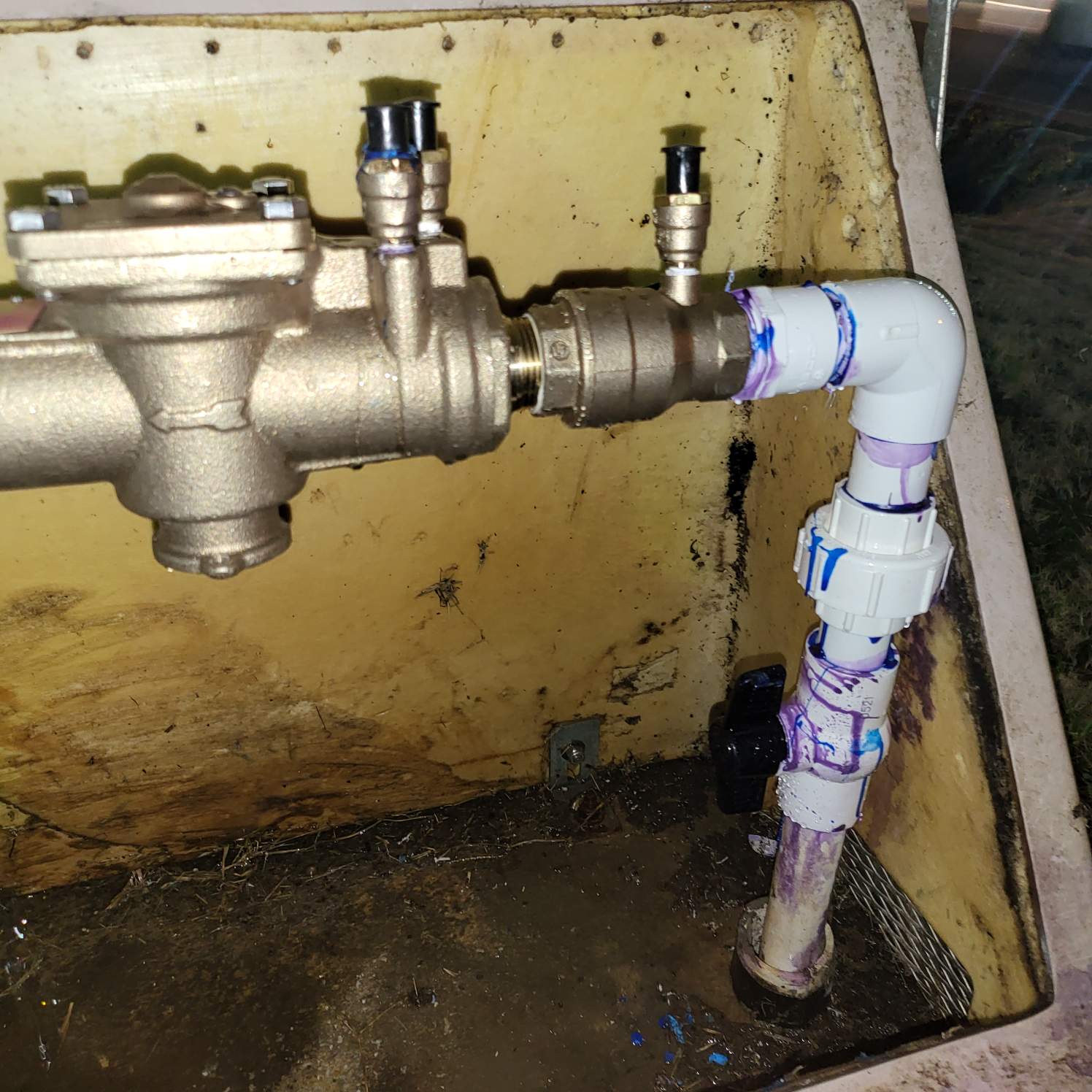 19844848360_15512705015_2_1674264208849